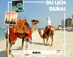 DU LỊCH DUBAI: DUBAI – ABU DHABI (T2,3/2023)