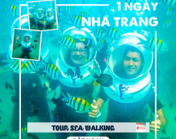 NT-05: Tour Sea Walking – Đi bộ dưới đáy biển
