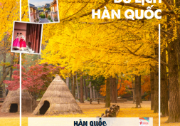 DU LỊCH HÀN QUỐC ĐÓN THU VÀNG: SEOUL - JEJU - NAMI - EVERLAND - T3/2023 (BAY VIETJET AIR)