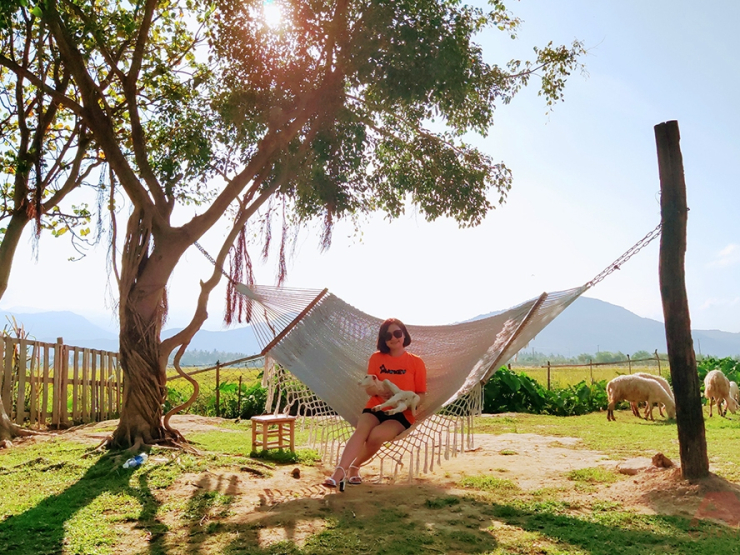 NT-06: Đồng Cừu -Vườn Nho - Hang Rái - Vĩnh Hy